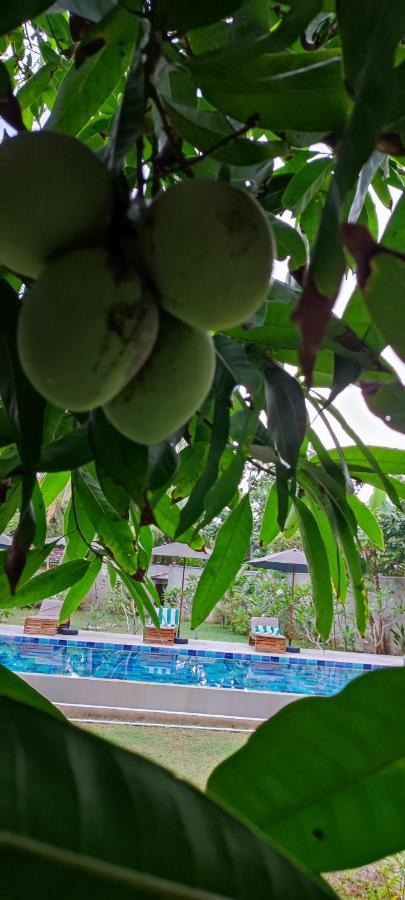 Mango Tree Villa Bentota Kültér fotó