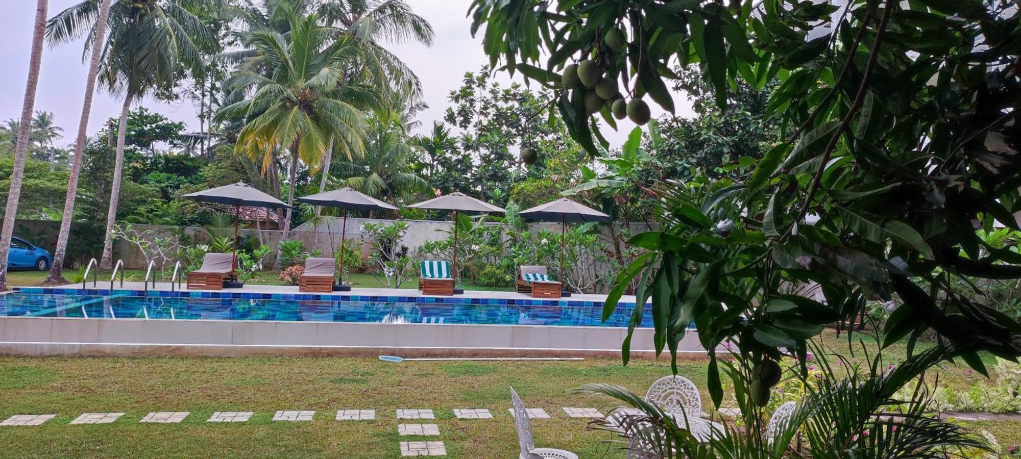 Mango Tree Villa Bentota Kültér fotó
